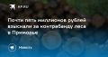 Контрабанда леса в Приморье: 4,8 млн рублей взыскали с директора компании