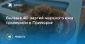 Больше 40 партий морского ежа проверили в Приморье