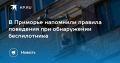 Обнаружили беспилотник? Не паникуйте!