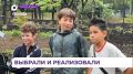 Обновлённую аллею открыли на улице Кирова во Владивостоке