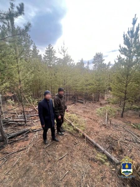 Одна деталь сломала планкапкан: косилка, найденная утром на дороге, запустила цепочку событий Одна деталь сломала планкапкан: косилка, найденная утром на дороге, запустила цепочку событий