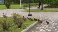 делегация от живой природы уже на полях ВЭФ!