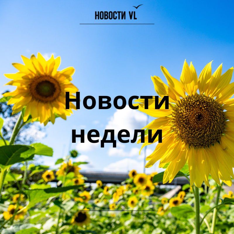 Материалы недели от Новостей VL, которые вы могли пропустить: