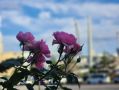 В Приморье к выходным потеплеет до +30 °C - ПРОГНОЗ