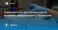 В Приморье нашли карпа, зараженного аргулезом