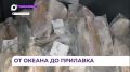 Стратегию по продвижению рыбной продукции обсудили на ВЭФ во Владивостоке