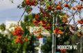 Доброе утро, Владивосток. Днём переменная облачность
