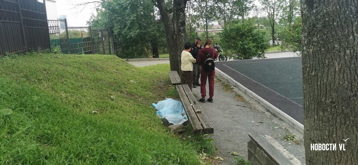Во Владивостоке на территории школы умер случайный прохожий Во Владивостоке на территории школы умер случайный прохожий
