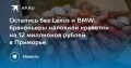 Браконьеры в Приморье попались на креветках на 12 миллионов рублей
