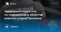 Трагедия в Приморье: подростка задержали по подозрению в убийстве отца