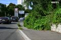 15 рублей за квадратный метр травы: подрядчики отказываются от дешёвых контрактов на покосы во Владивостоке