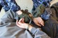 С начала 2026 года в суды Приморья направили 17 уголовных дел, связанных с терроризмом