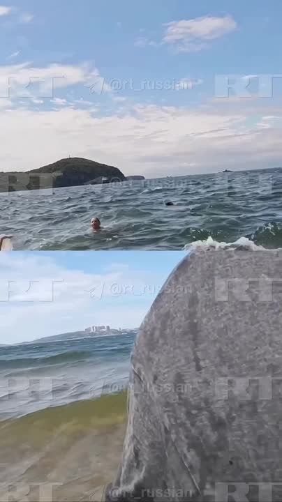 — Серьёзно унесло? На держи-ка