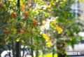 Доброе утро, Владивосток. Днём небольшая облачность