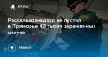 В Приморье не пустили 49 тысяч зараженных цветов