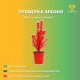 Лесная проверка зрения. Кажется, нехватка осенних впечатлений влияет на организм — вещи начинают окрашиваться в другой цвет