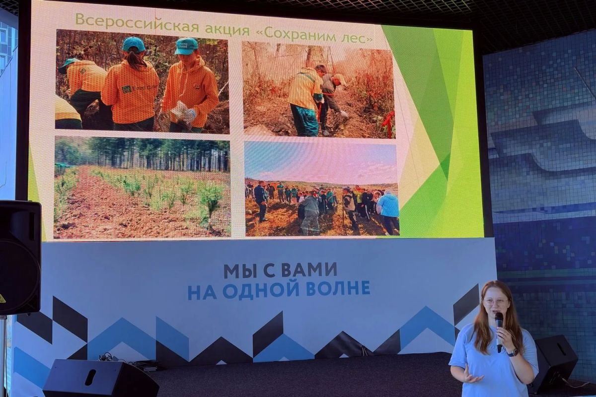 От древних папоротников до леса из пробирки: что обсуждали на «Золотой Черепахе» От древних папоротников до леса из пробирки: что обсуждали на «Золотой Черепахе»