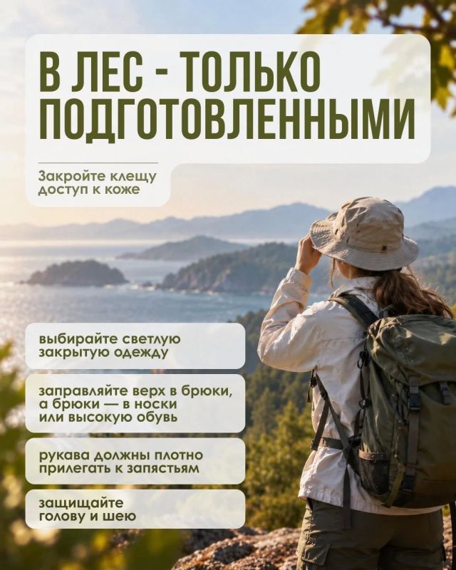 Осторожно, клещи!. Минздрав Приморья рассказывает, как защитить себя и близких Осторожно, клещи!. Минздрав Приморья рассказывает, как защитить себя и близких