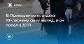 В Приморье мать дала 13-летнему сыну мопед, и он попал в ДТП