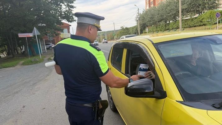 Госавтоинспекция в Фокино проводит профилактическую акцию «Внимание - дети!» Госавтоинспекция в Фокино проводит профилактическую акцию «Внимание - дети!»