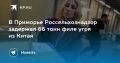В Приморье задержали 66 тонн филе угря из Китая