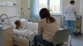 Во Владивостоке 11-летнюю девочку госпитализировали с сальмонеллёзом после посещения ресторана