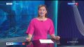 Дошагали до Дальнего Востока