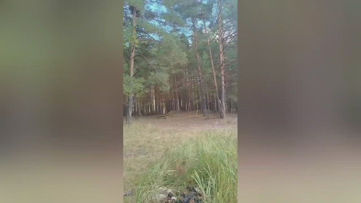 Специалисты ОМОН Росгвардии обезвредили артиллерийский снаряд во Владимирской области