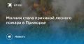 Молния вызвала лесной пожар в Приморье