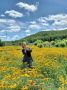 �� ������������ �������� ����� �� ��������� ������� � ���������� �������