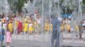 «Прокукарекали» на все Приморье