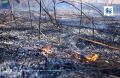 Сухая гроза стала причиной лесного пожара в Приморье