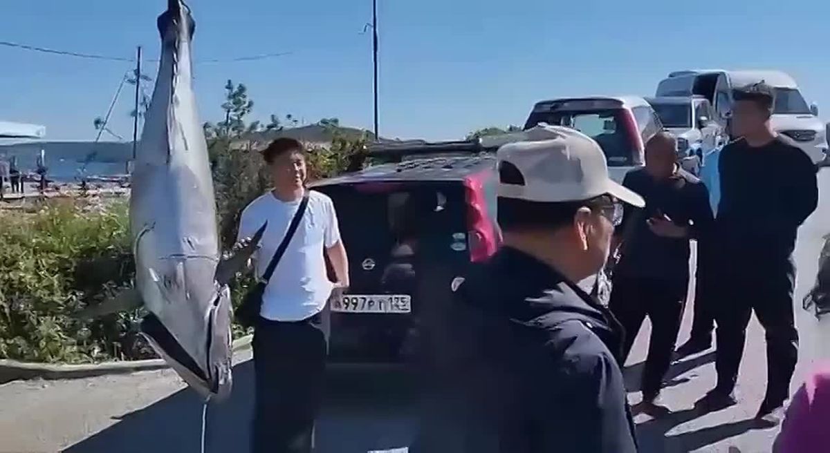 Рекордного тунца поймали на удочку во Владивостоке