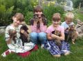Любить — значит однажды дать ребёнку выбрать самому