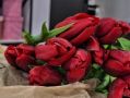 Инспекторы Россельхознадзора пресекли попытку ввоза в Приморский край почти 30 тысяч срезов живых цветов, которые оказались опасными для местной флоры