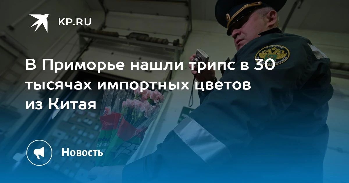 Трипс в цветах из Китая. В Приморье выявили заражение 30 тысяч срезов