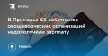 В Приморье 65 работников овощеводов не получили зарплату