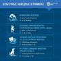 Приморцев ждут насыщенные выходные