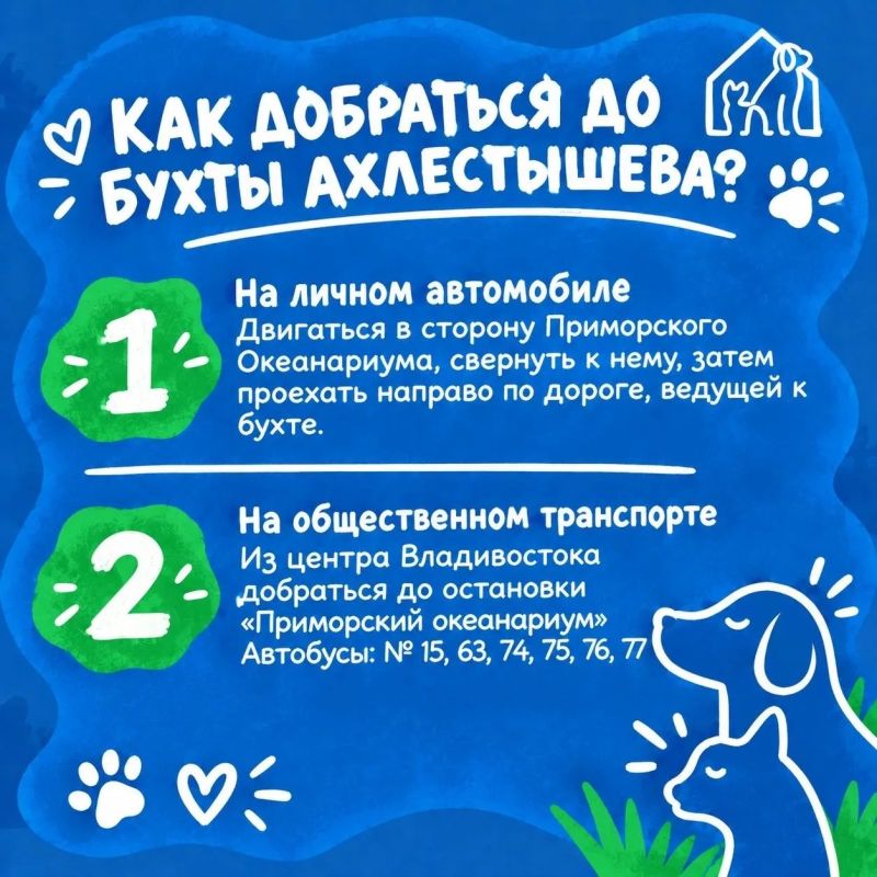 Уже завтра пройдет фестиваль «Собаки города_В» Уже завтра пройдет фестиваль «Собаки города_В»