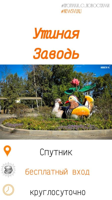 Покормить лебедей и краснокнижных уток, прокатиться на катамаране и ощутить себя дворянином: топ мест для прогулок в пригороде Владивостока Покормить лебедей и краснокнижных уток, прокатиться на катамаране и ощутить себя дворянином: топ мест для прогулок в пригороде Владивостока