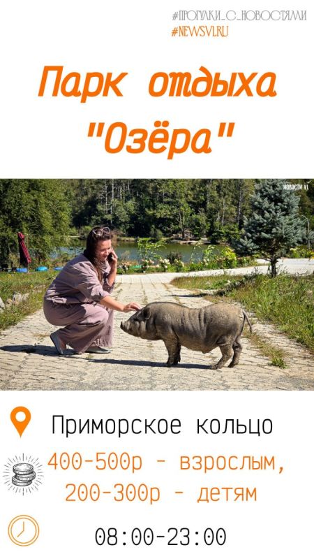 Покормить лебедей и краснокнижных уток, прокатиться на катамаране и ощутить себя дворянином: топ мест для прогулок в пригороде Владивостока Покормить лебедей и краснокнижных уток, прокатиться на катамаране и ощутить себя дворянином: топ мест для прогулок в пригороде Владивостока