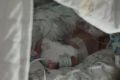 "Появились пухлые щечки и хулиганский характер": малыша весом 830 граммов спасли в Приморье