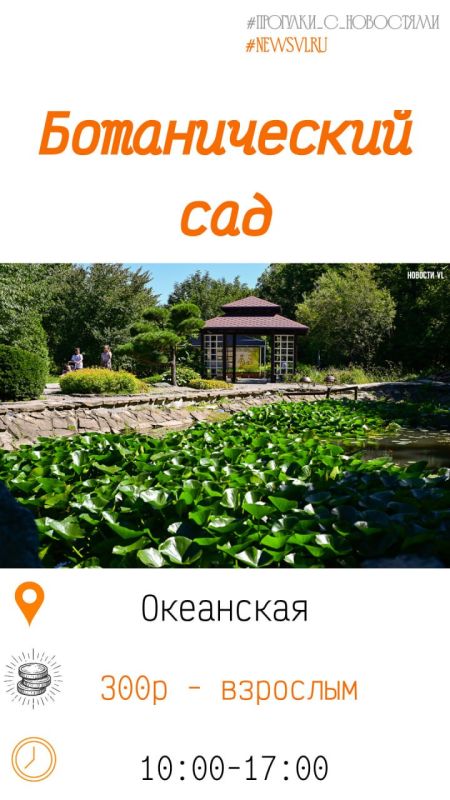 Покормить лебедей и краснокнижных уток, прокатиться на катамаране и ощутить себя дворянином: топ мест для прогулок в пригороде Владивостока Покормить лебедей и краснокнижных уток, прокатиться на катамаране и ощутить себя дворянином: топ мест для прогулок в пригороде Владивостока