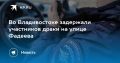 Во Владивостоке задержали участников драки на улице Фадеева