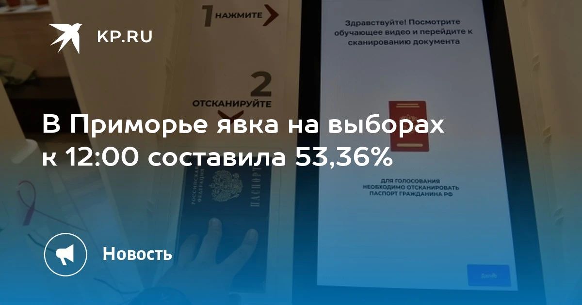 Явка на выборах в Приморье достигла 53,36%