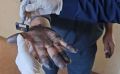 ��������� ������������������ � ������������ ���������� ������� ����������� � ���������� ����������� ����