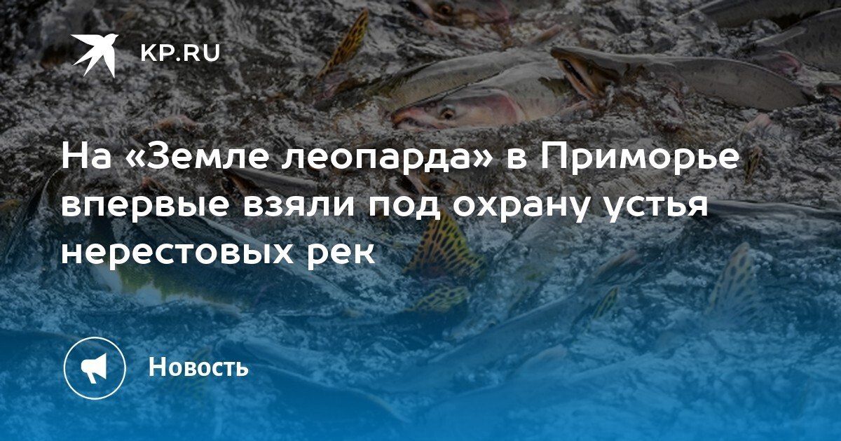 Защита нерестовых рек в Приморье усилена