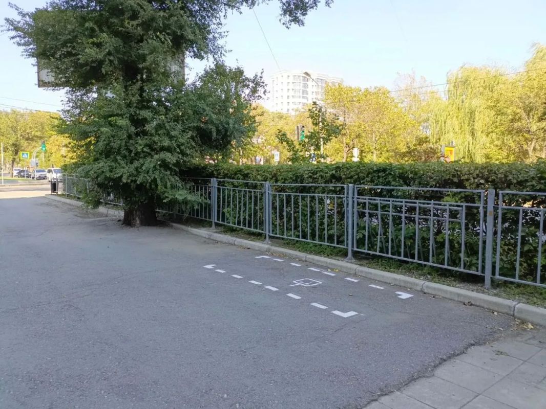 В Уссурийске наводят порядок с парковкой электросамокатов