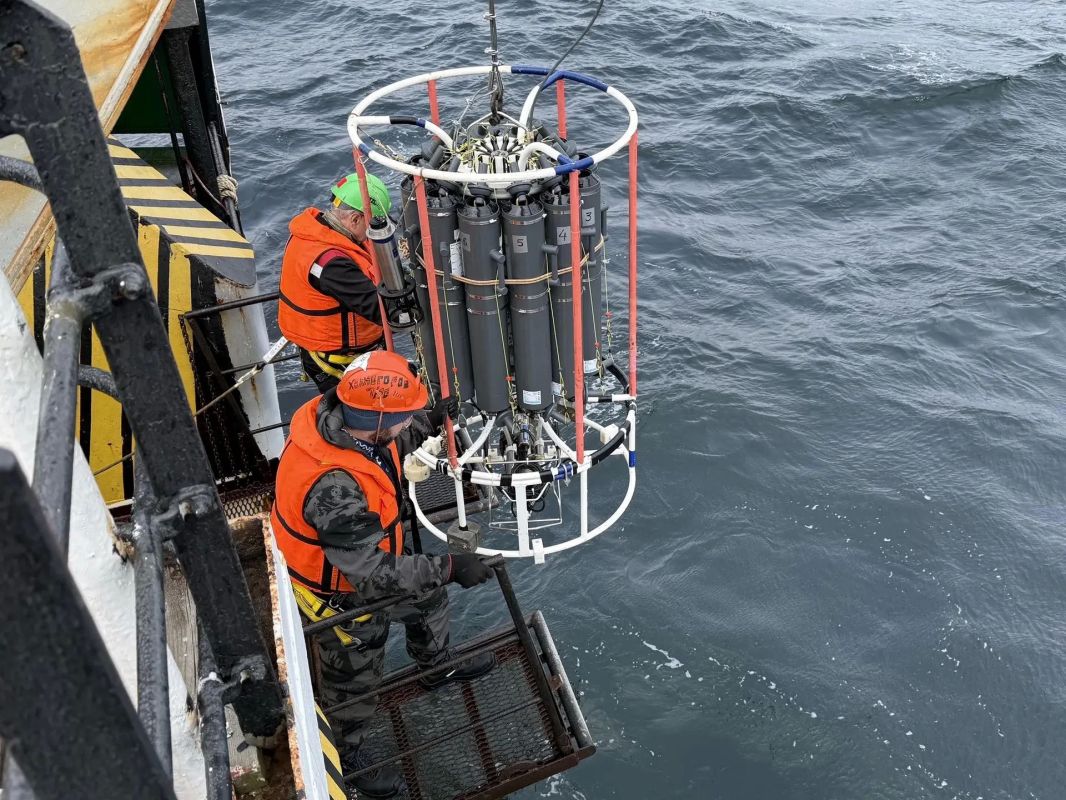 ЯПОНСКОЕ МОРЕ РЕАЛЬНО ТЕПЛЕЕТ! ДАЖЕ НА ГЛУБИНАХ ЗА 3 КИЛОМЕТРА ЯПОНСКОЕ МОРЕ РЕАЛЬНО ТЕПЛЕЕТ! ДАЖЕ НА ГЛУБИНАХ ЗА 3 КИЛОМЕТРА