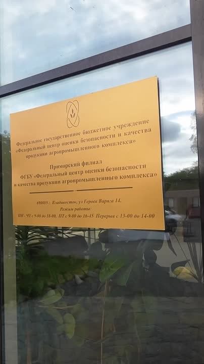 Как государство определяет, какого качества зерно выращено в России? Для этого проводится государственный мониторинг зерна